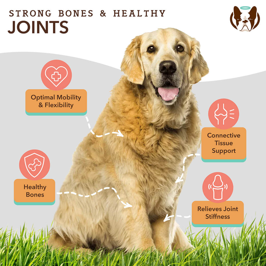 Hip & Joint Oil