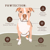 Itchy Paw Pack