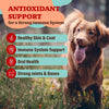 Antioxidant Berry Granules