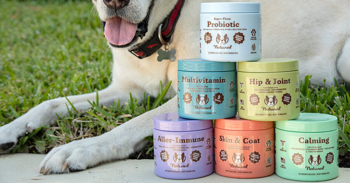 Is cocoa butter outlet safe for dogs