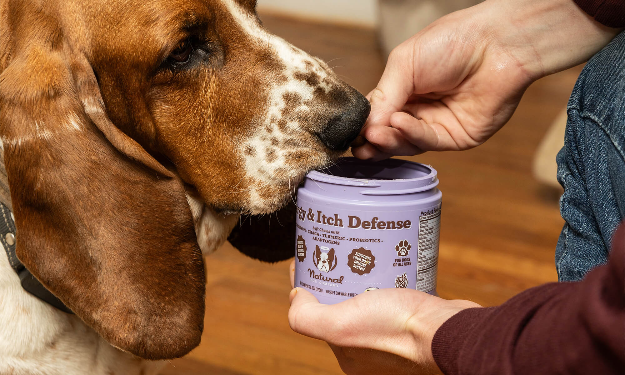 Dog Dental Powder: A Vet's 30-Day Guide – Natural Dog Company