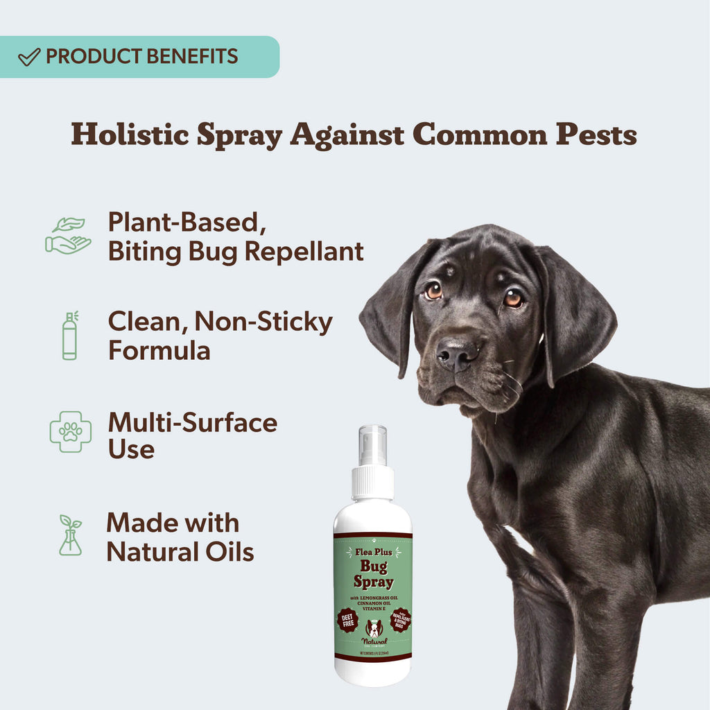 Flea Plus Bug Spray