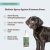 Flea Plus Bug Spray
