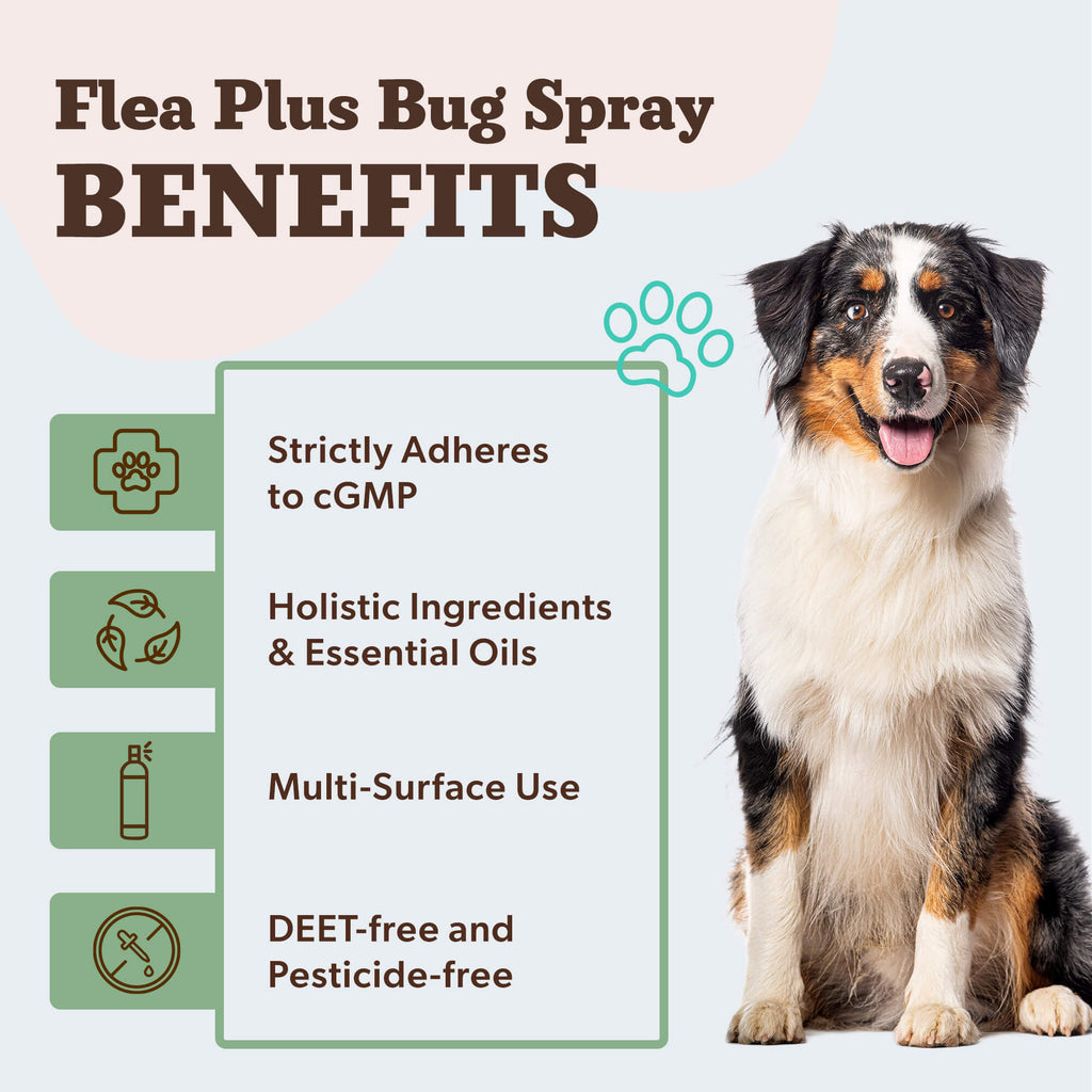 Flea Plus Bug Spray