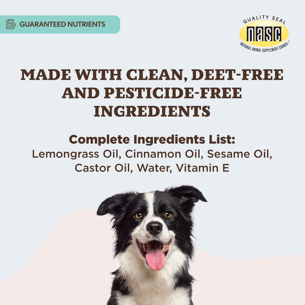 Flea Plus Bug Spray