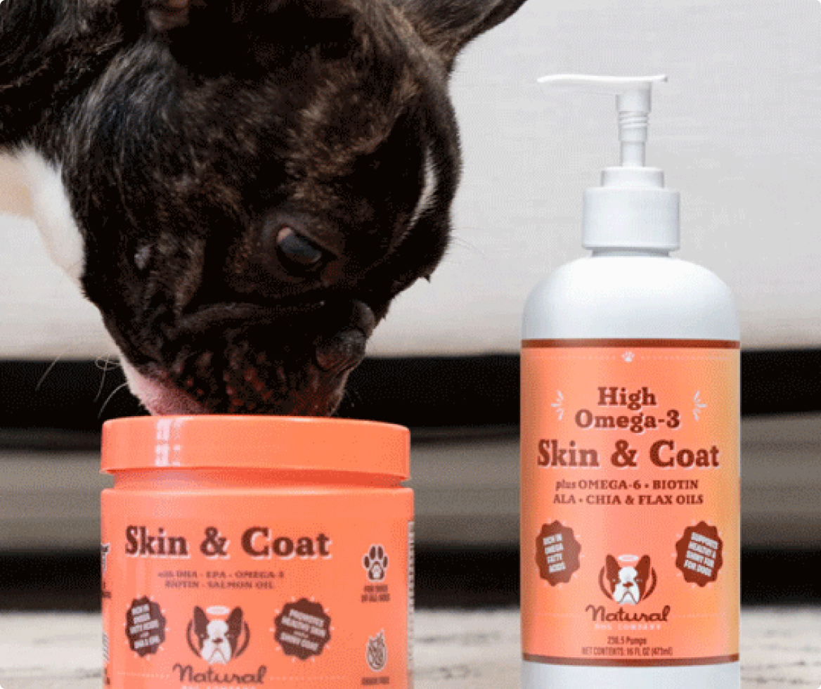 The black dog is sniffing two products from the Natural Dog Company that are on the floor
