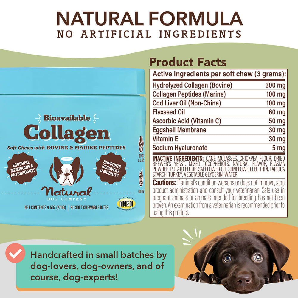 Collagen Supplement