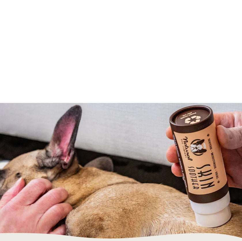 parson applying skin soother on a dog's skin