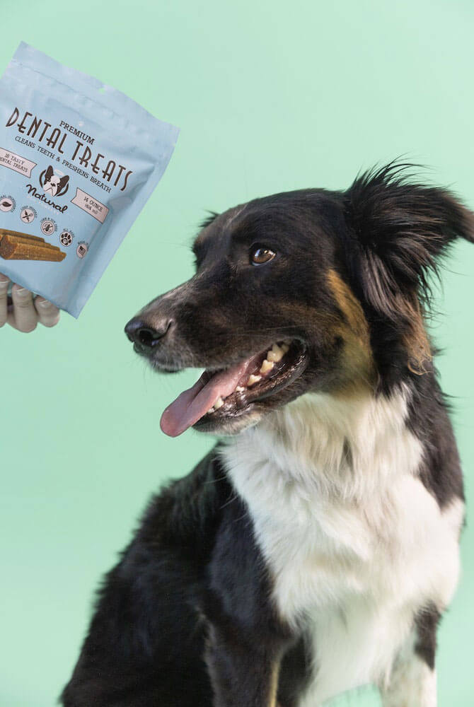 Dog Dental Treats | Clean Teeth & Fresh Breath | Natural Dog Company