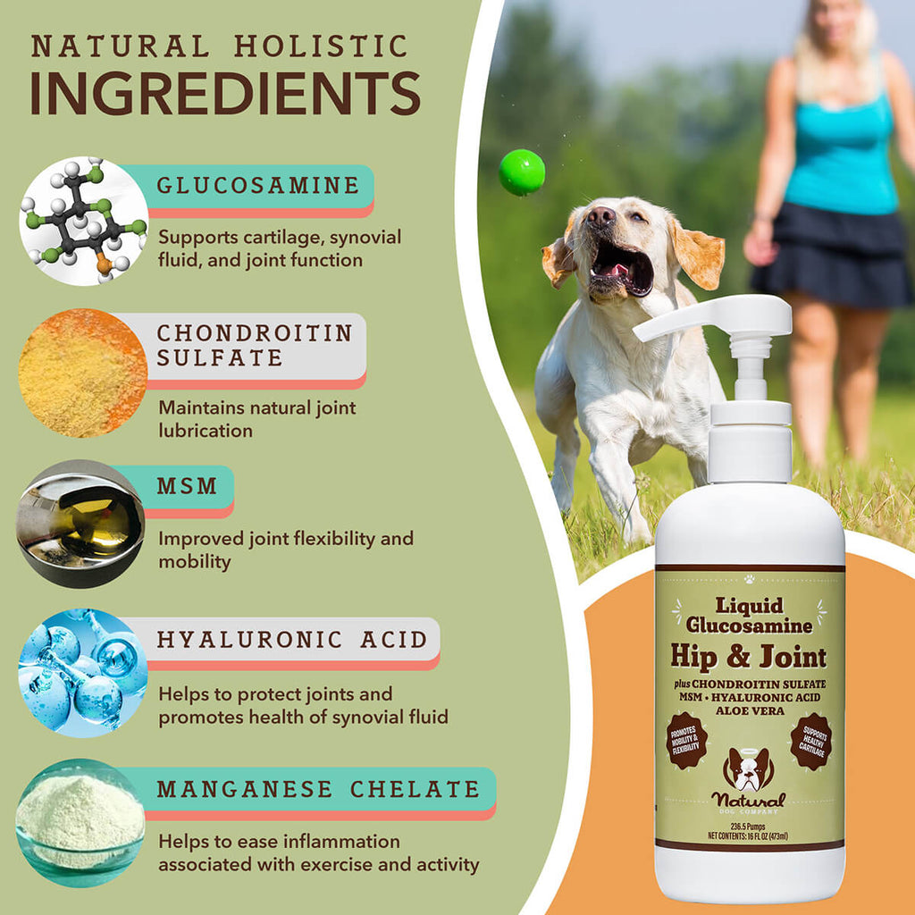 Hip & Joint Oil for Dogs | Mobility Support | Natural Dog Company Hip & Joint Oil for Dogs | Mobility Support | Natural Dog Company
