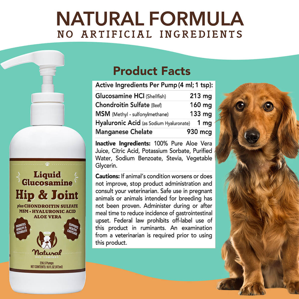 Hip & Joint Oil for Dogs | Mobility Support | Natural Dog Company Hip & Joint Oil for Dogs | Mobility Support | Natural Dog Company