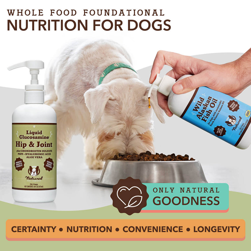 Hip & Joint Oil for Dogs | Mobility Support | Natural Dog Company Hip & Joint Oil for Dogs | Mobility Support | Natural Dog Company