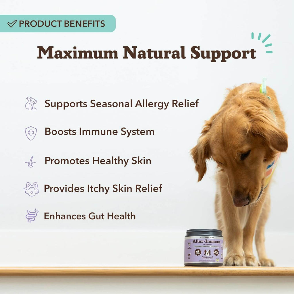 Allergy Medicines Cadi Allergy Shot For Dogs Allergy Medicine Dog Allergy Shot Cytopoint Aller-Immune