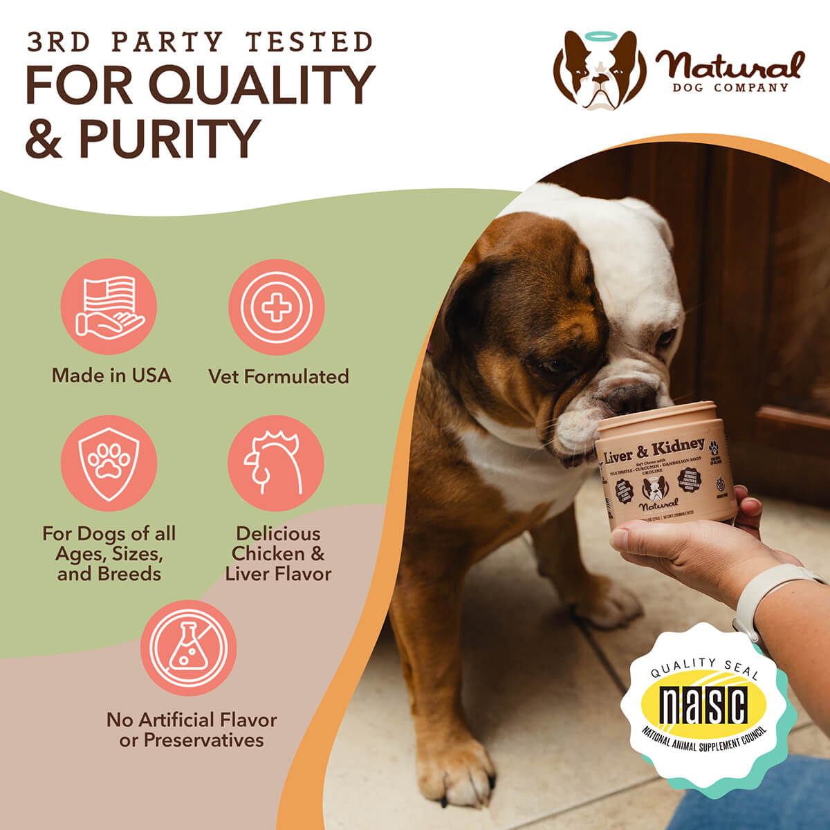 natural supplement to increase dog's appetite