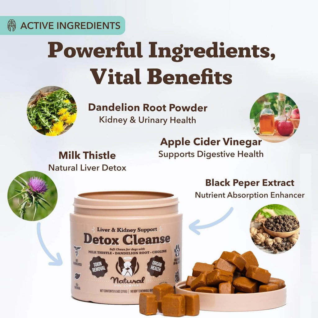 Detox Cleanse