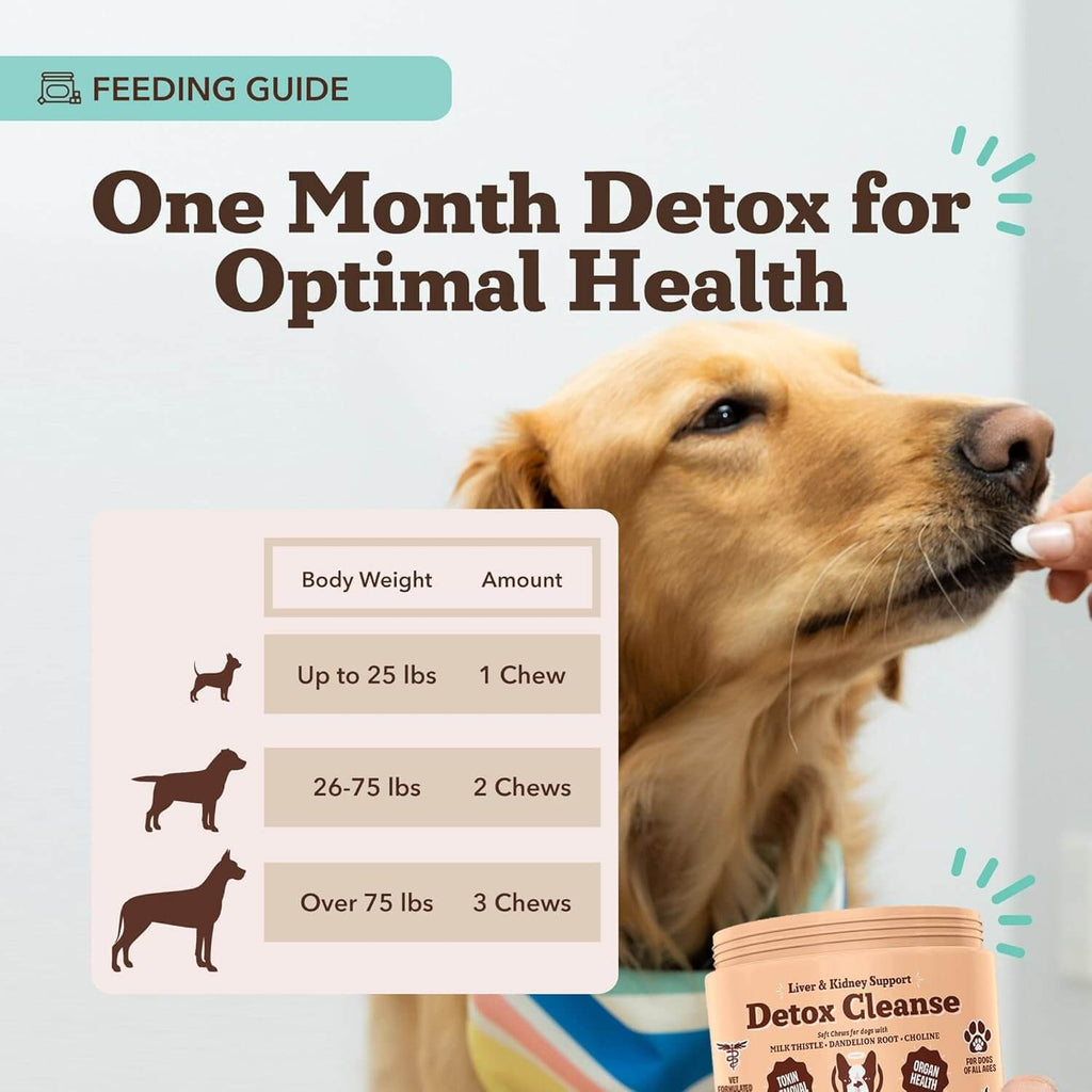 Detox Cleanse