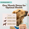 Detox Cleanse