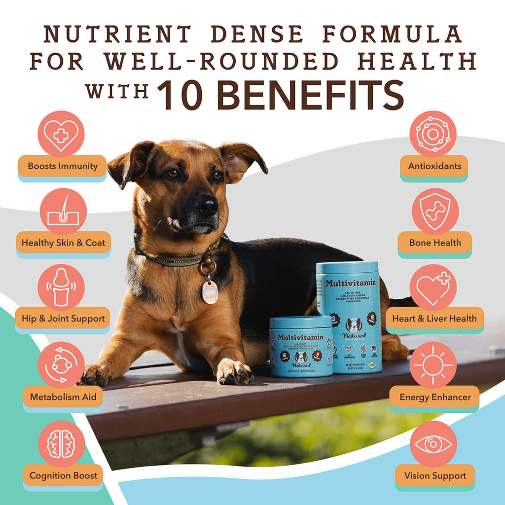 Dog Multivitamin Supplement | Daily Vitamins for Dogs | Natural Dog Company
