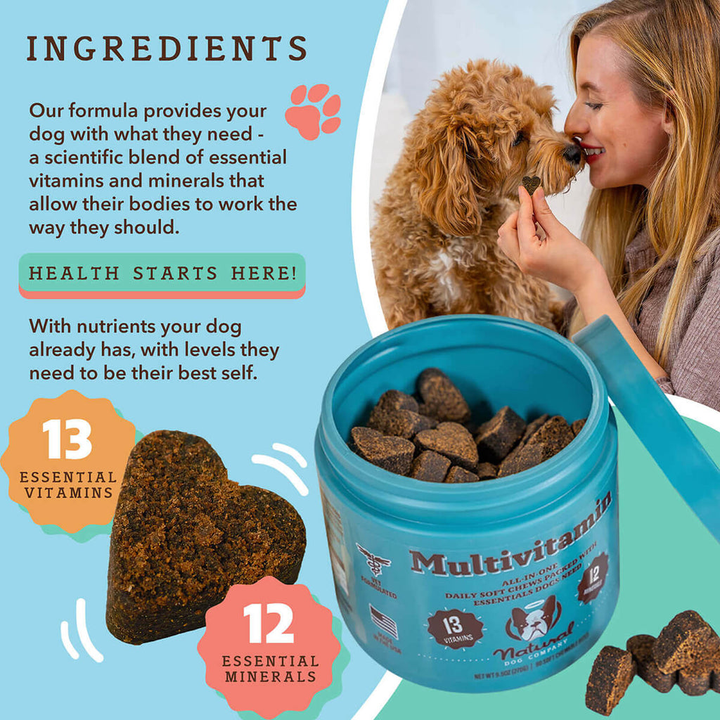 Dog Multivitamin Supplement | Daily Vitamins for Dogs | Natural Dog Company