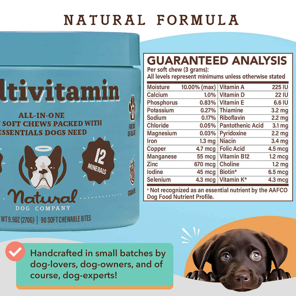 Dog Multivitamin Supplement | Daily Vitamins for Dogs | Natural Dog Company