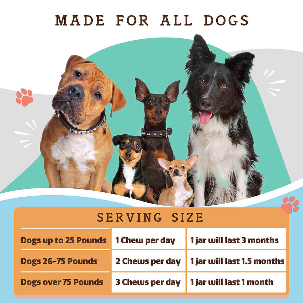 Dog Multivitamin Supplement | Daily Vitamins for Dogs | Natural Dog Company
