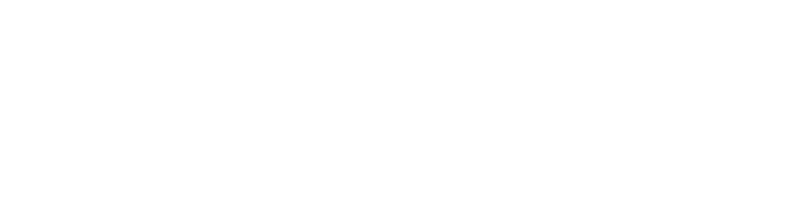 Natural Dog Company
