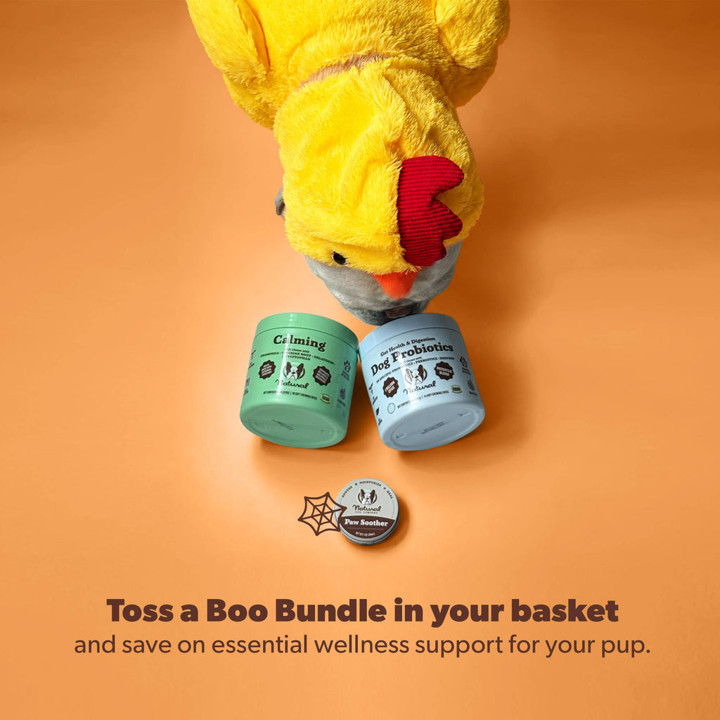 Starter Boo Bundle