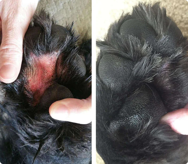 skin rash on a paw before and after skin soother