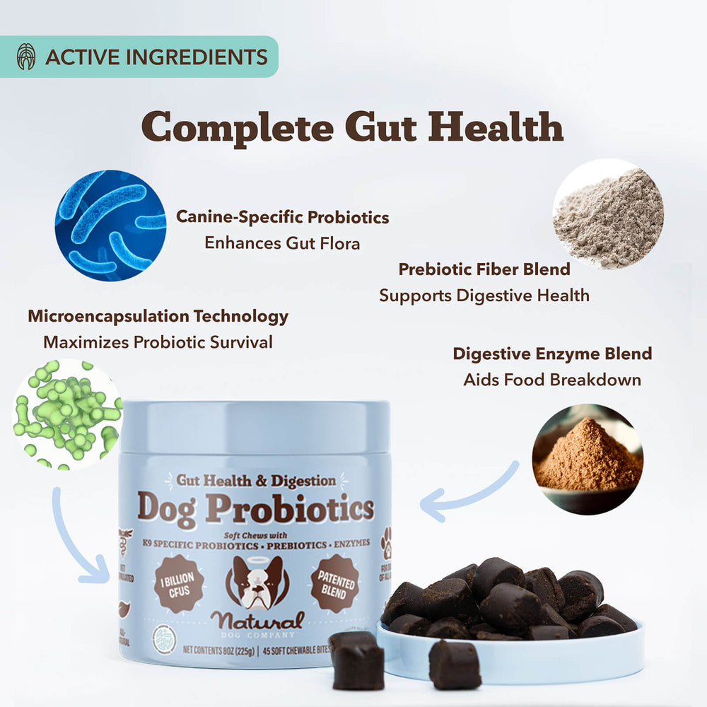 Dog probiotics product image highlighting ingredients for gut health.