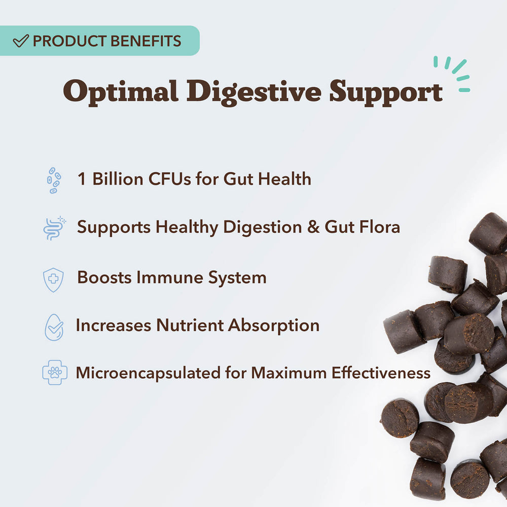 Text listing product benefits for gut health with dark supplements on the side.