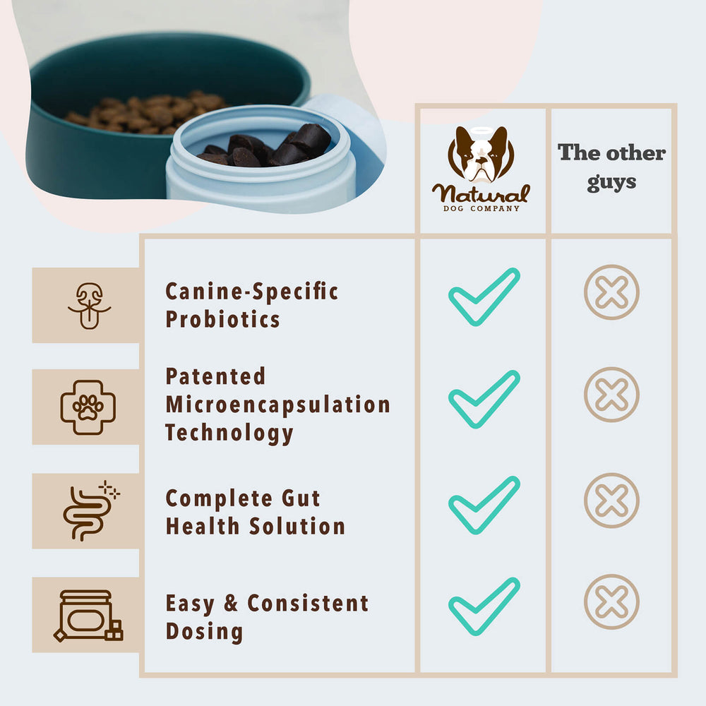 Comparison chart of dog probiotics highlighting features of Natural Dog Company.
