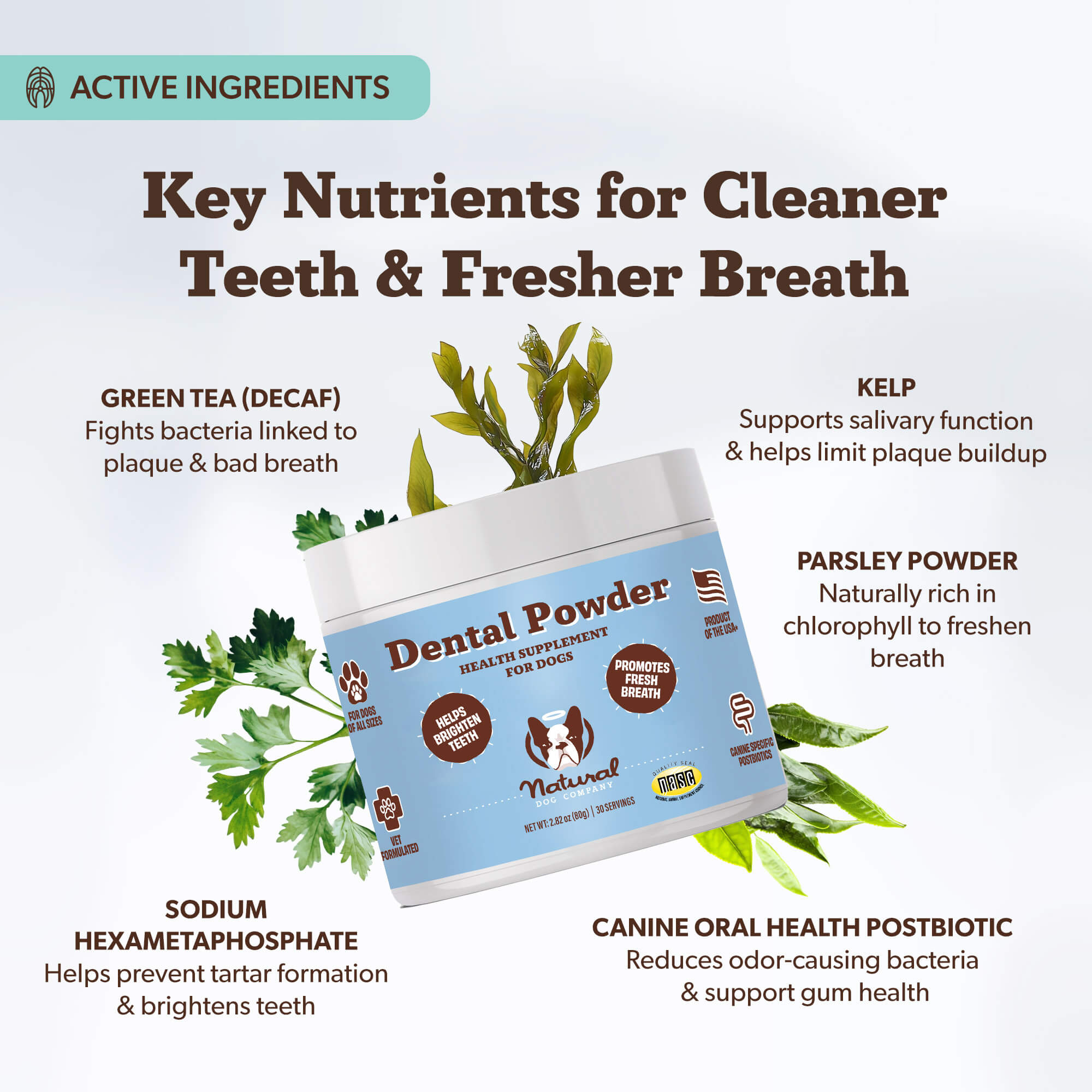 Dental Powder – Natural Dog Company