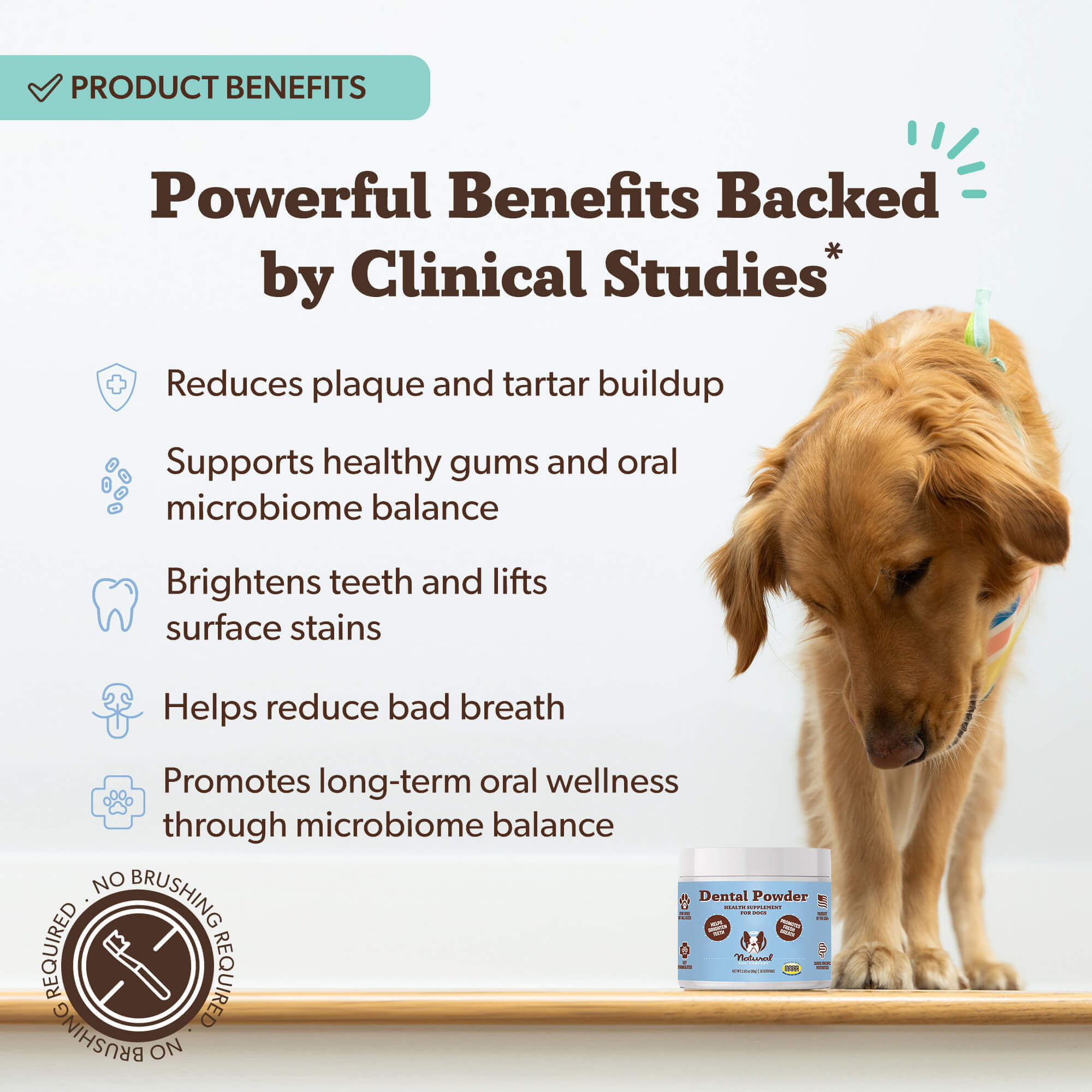 Dental Powder – Natural Dog Company