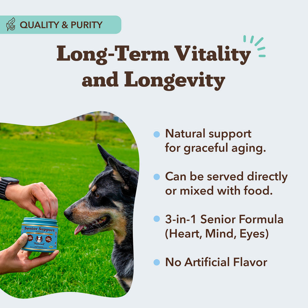 Senior Support Chew