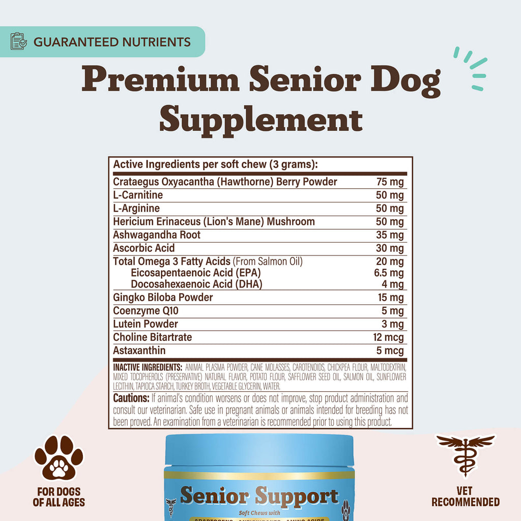 Senior Support Chew
