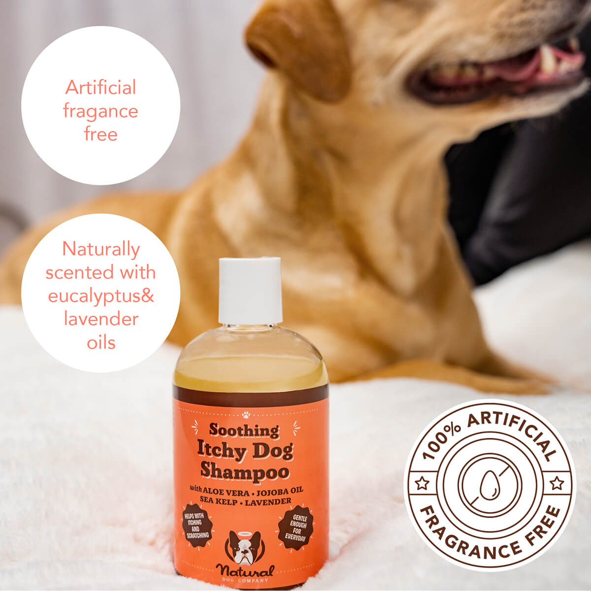 Itchy Dog Shampoo Natural Dog Company