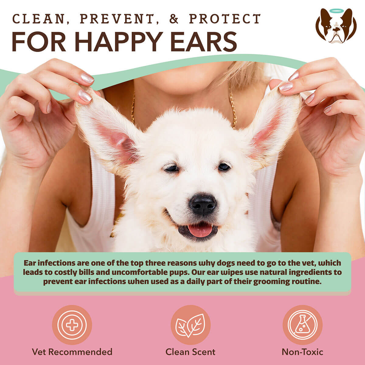 home remedy for dog ear irritation