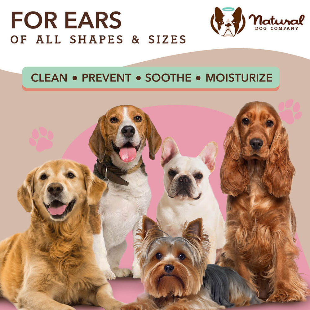 Ear Wipes