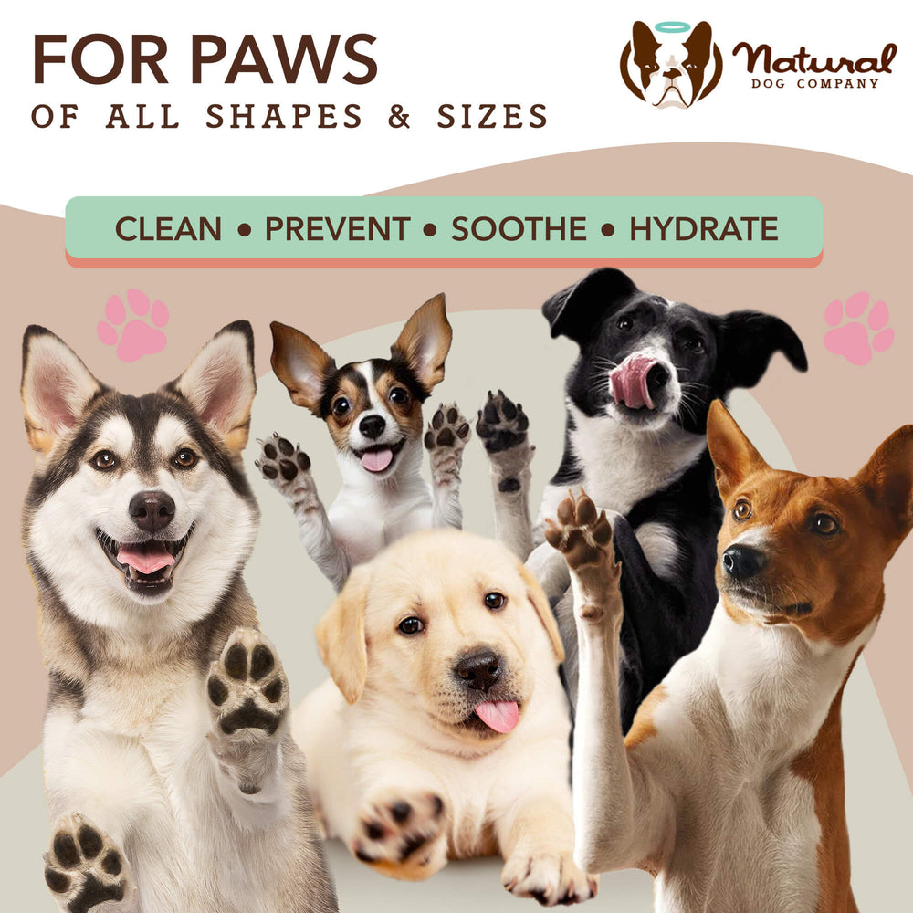 Paw Wipes