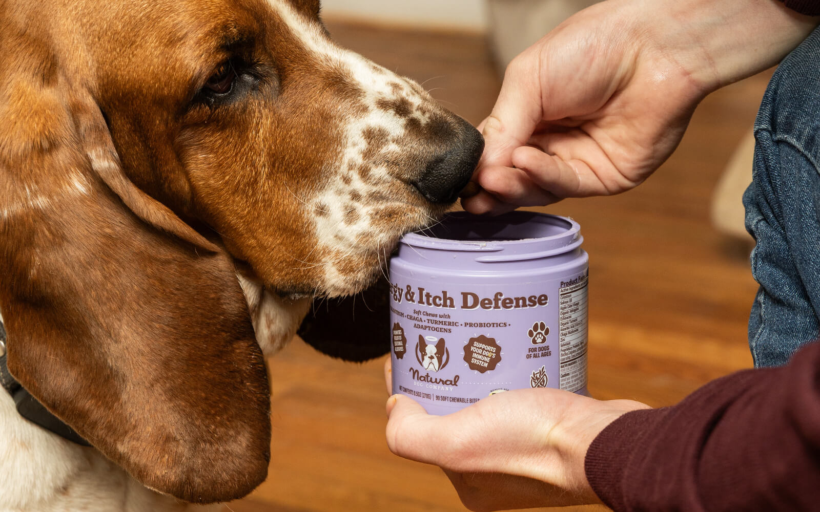 Dog enjoying Allergy & Itch Defense chews