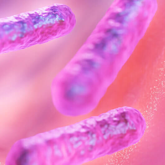 Probiotics