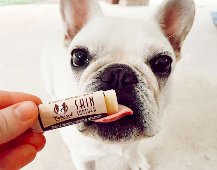 natural dog skin soother in front of a white french bulldog