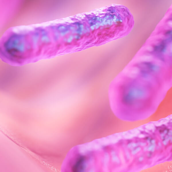 
    Canine-Specific Probiotic Blend