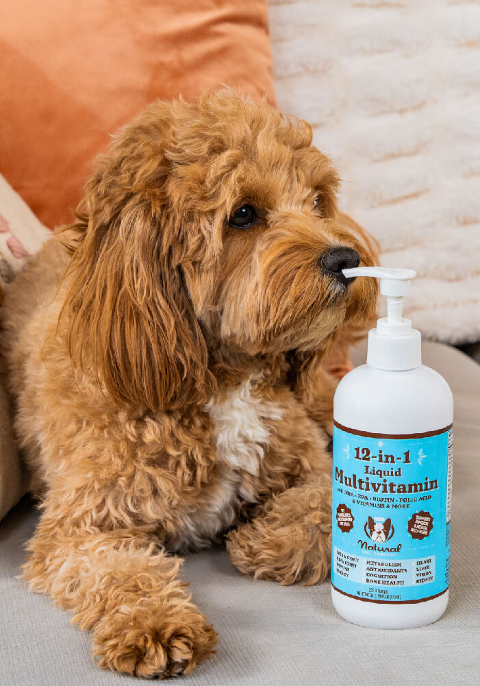 Liquid Multivitamin Natural Dog Company