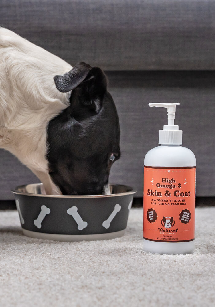 Skin & Coat Oil Natural Dog Company