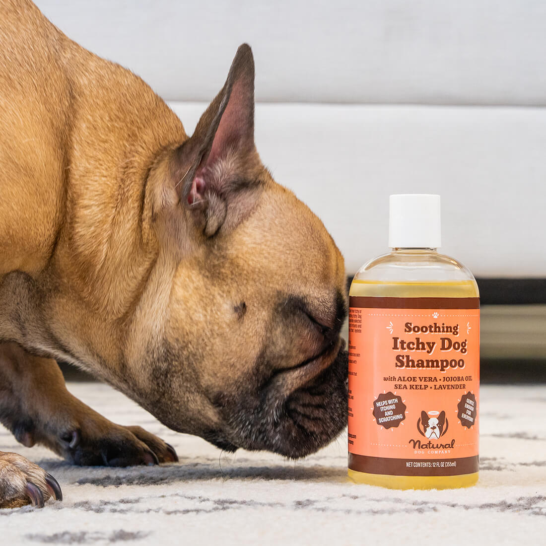 Itchy Dog Shampoo Natural Dog Company
