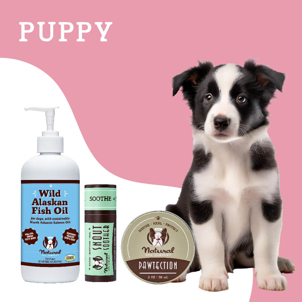 15% OFF! Winter Protection Bundles For All Dogs – Natural Dog Company