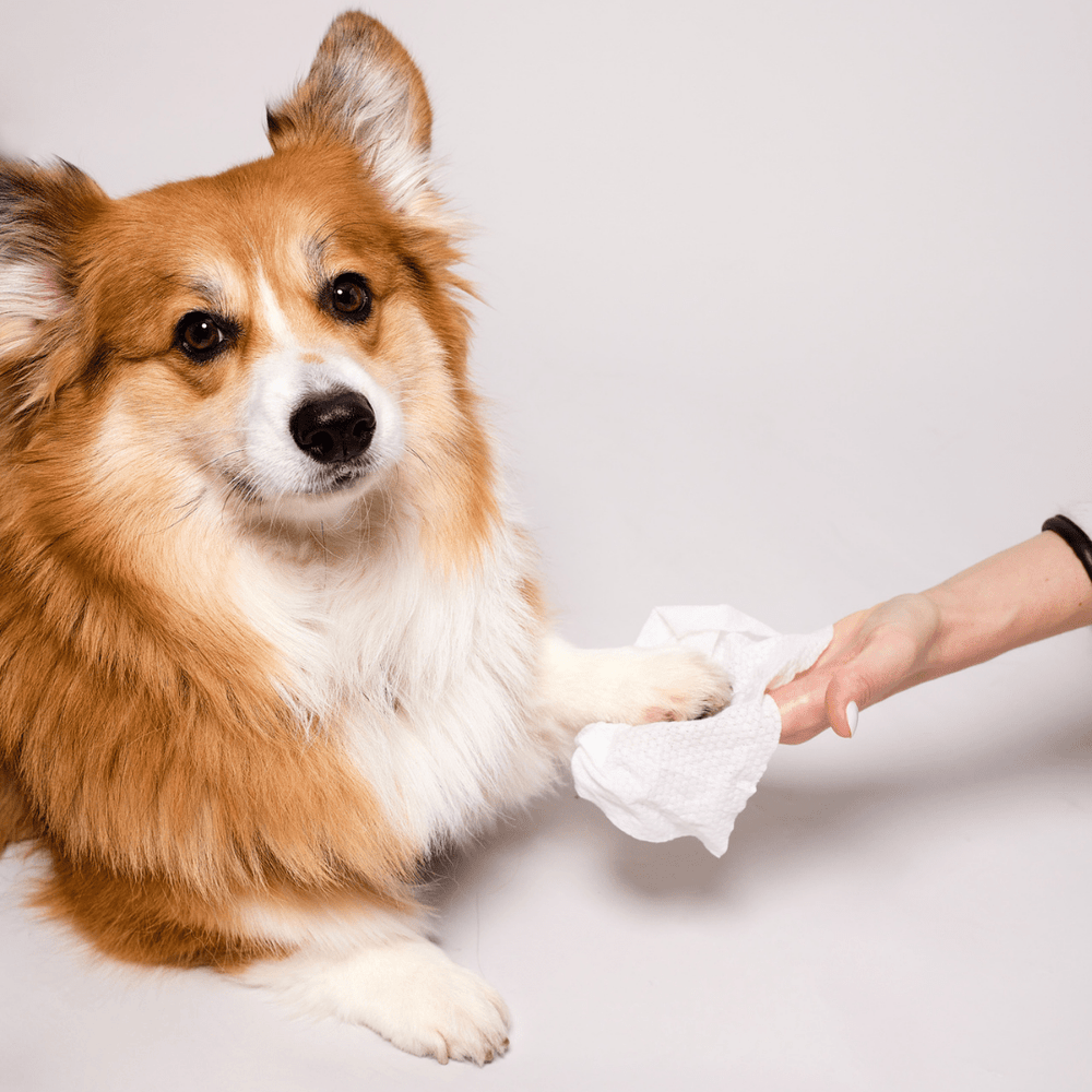 Grooming Wipes