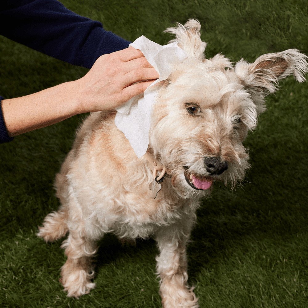 Grooming Wipes