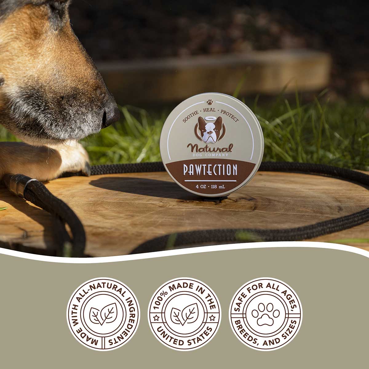 canine paw protection